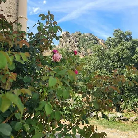 Appartement Résidence E Scaravaglie